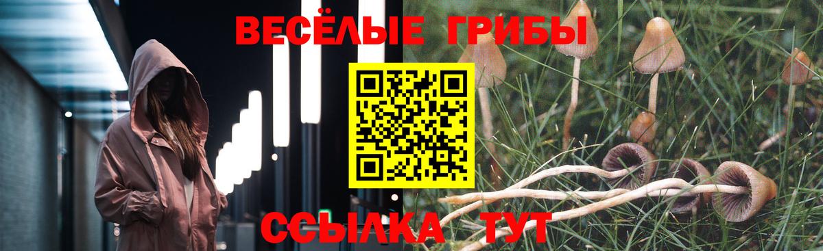 Алатырь  как найти наркотики  Вход с VPN  Псилоцибиновые грибы Cubensis 